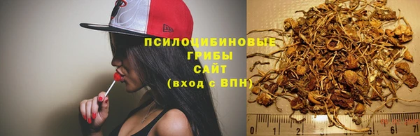гидра Кукмор