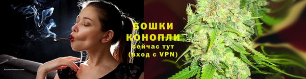 гидра Кукмор