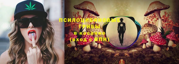 ALPHA PVP Краснослободск