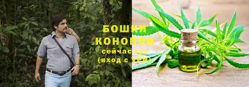 купить закладку  Нерчинск  Бошки Шишки OG Kush 